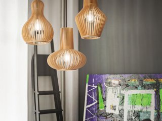 Visilice Citrus - svi oblici