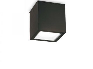Stropna / zidna lampa Tehno crna