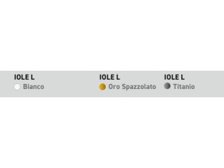 IOLE L