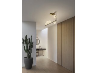 Luster ptice 5 kugli